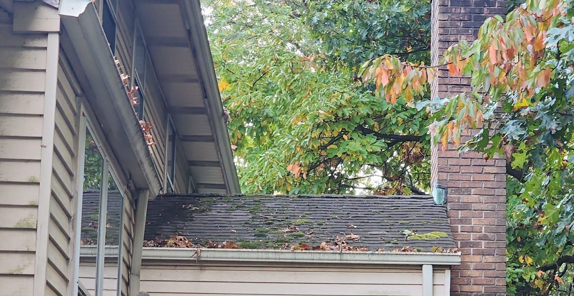 Gutter Cleaning Services
