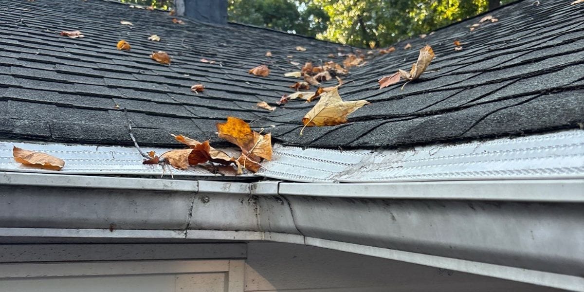 Seasonal Gutter Care