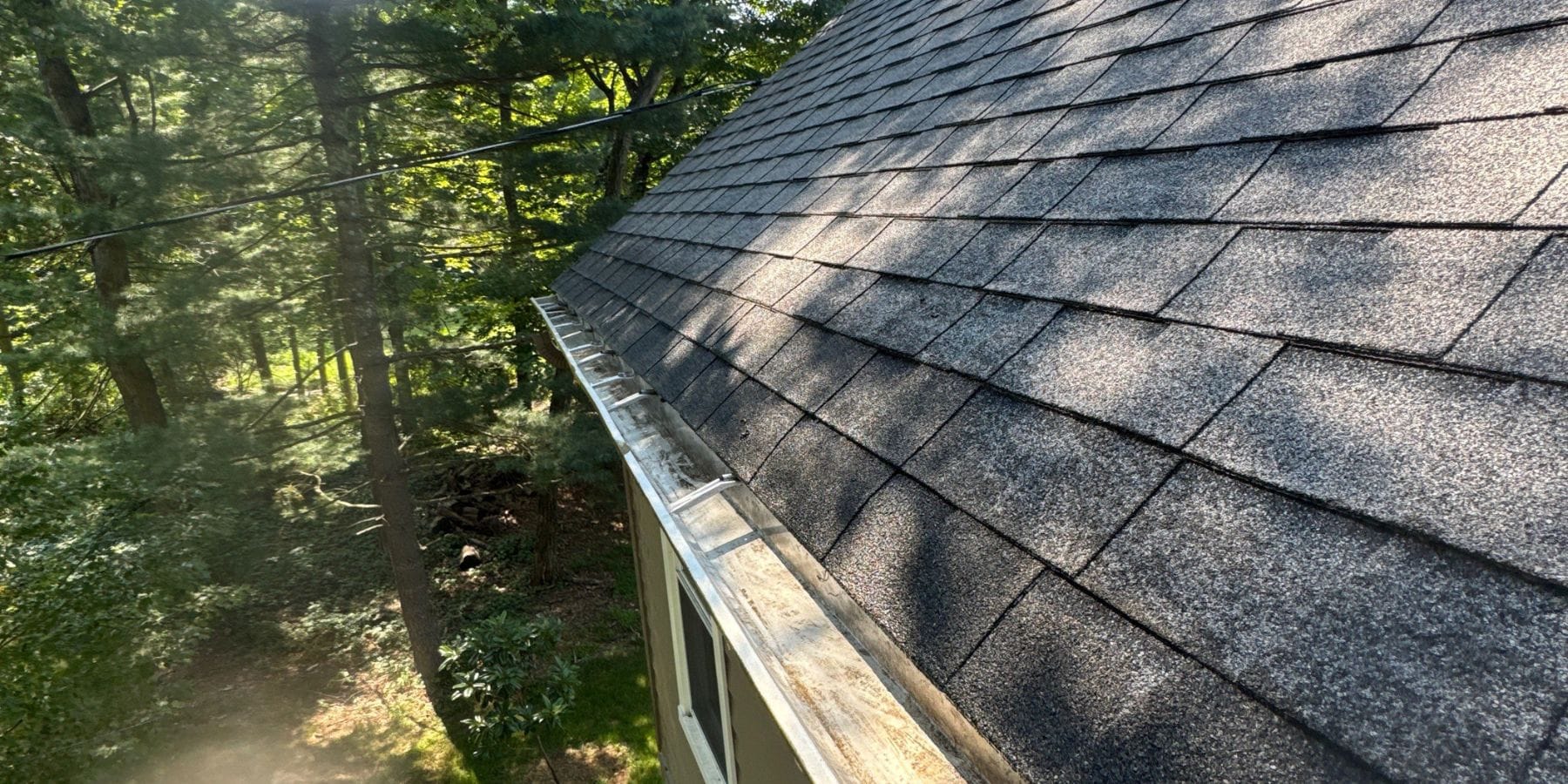 DIY vs. Professional Gutter Maintenance