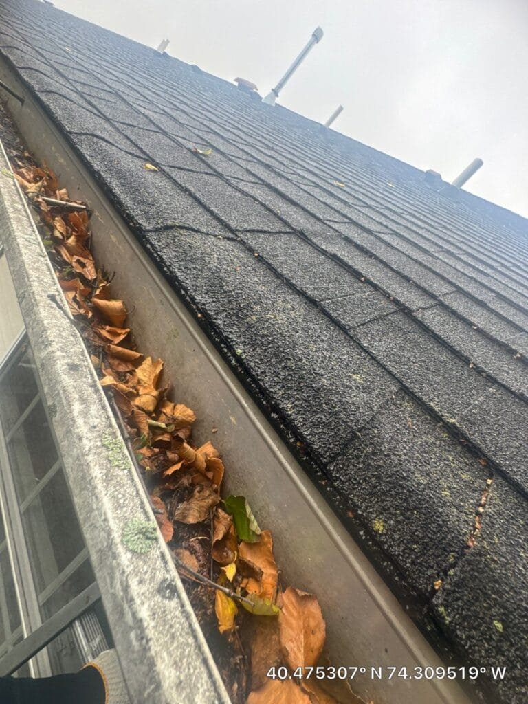 Leaves blocking house gutters