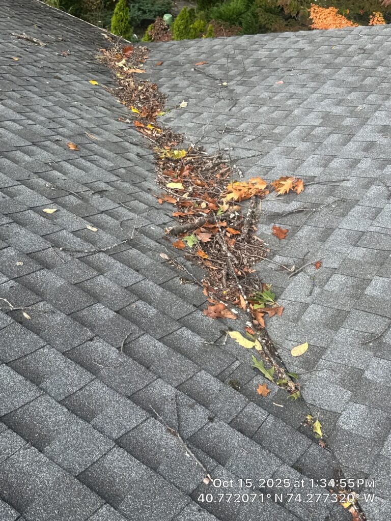 Roof drainage affected by fallen leaves
