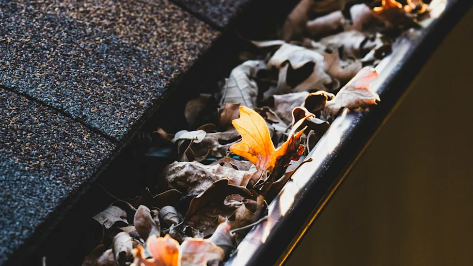 Photo by Jon Sailer on Unsplash