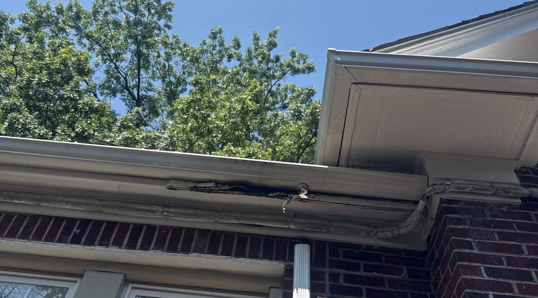 While aluminum and vinyl gutters resist rust